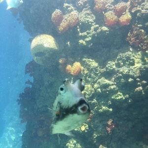 Meet your Posher, Madelyn